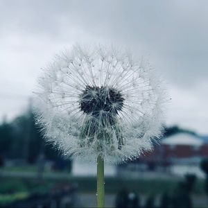 Meet your Posher, Addey